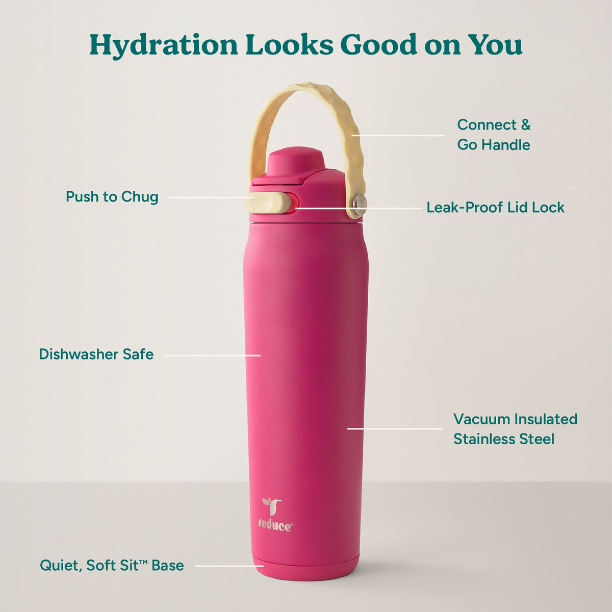 aura-26-oz-z6 Aura_26oz_DragonFruit_PDP_Infographic_2-03.jpg