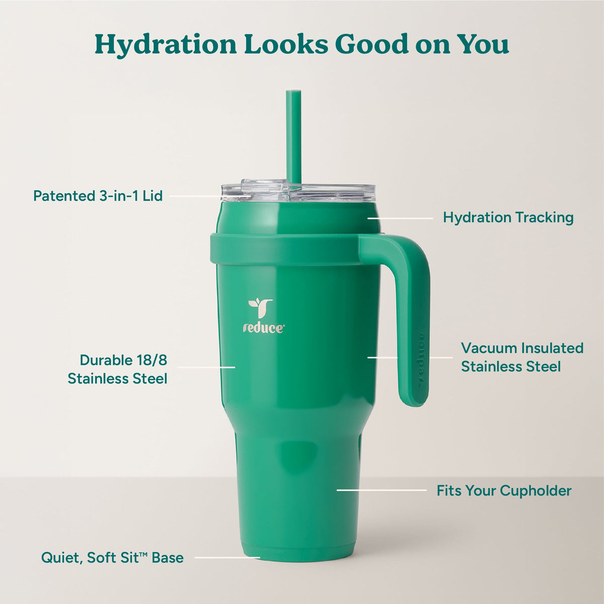 cold1-40-oz-x7 Cold1_40oz_PalmLeaf_Infographic_2.jpg