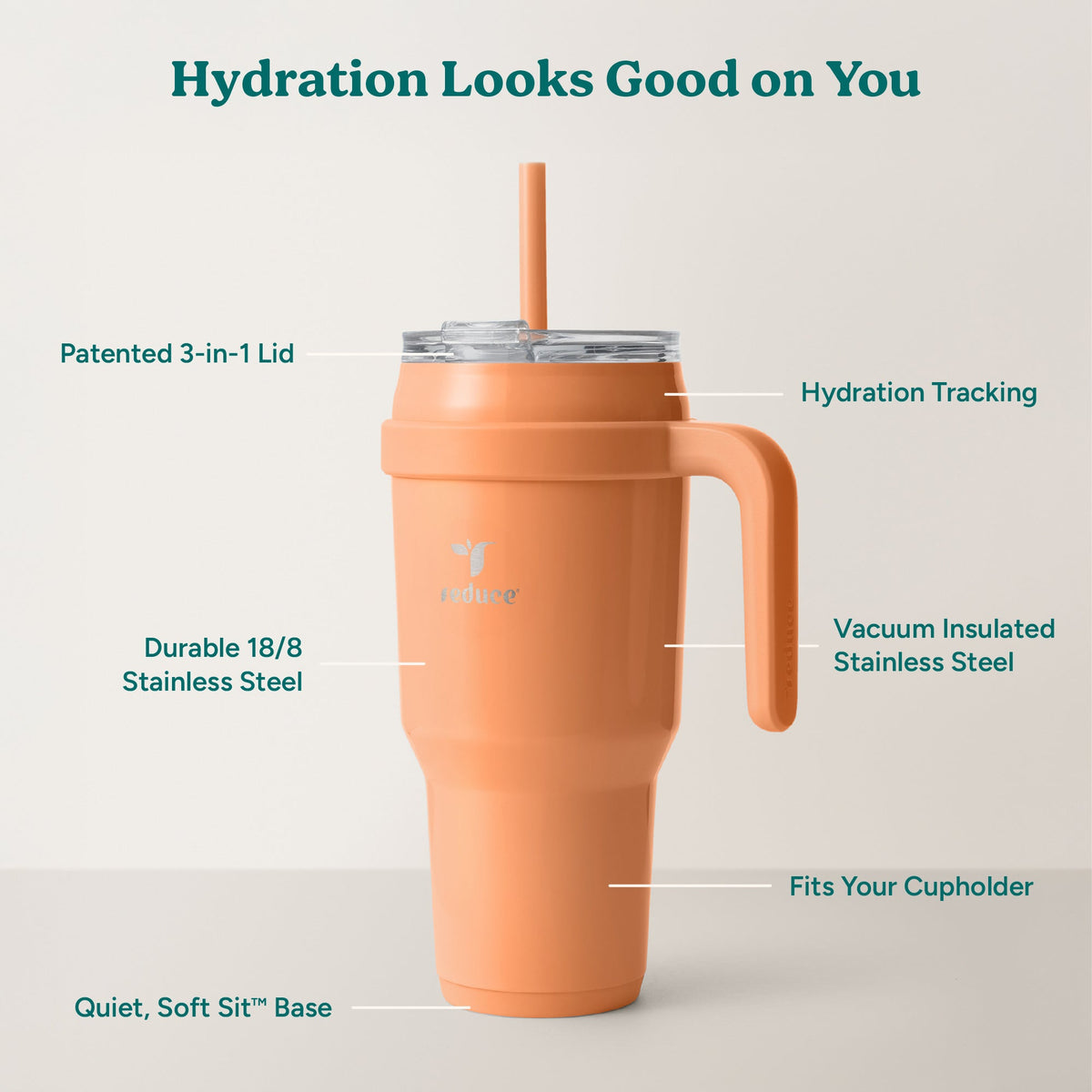 cold1-40-oz-x7 Cold1_40oz_Papaya_Infographic_2.jpg